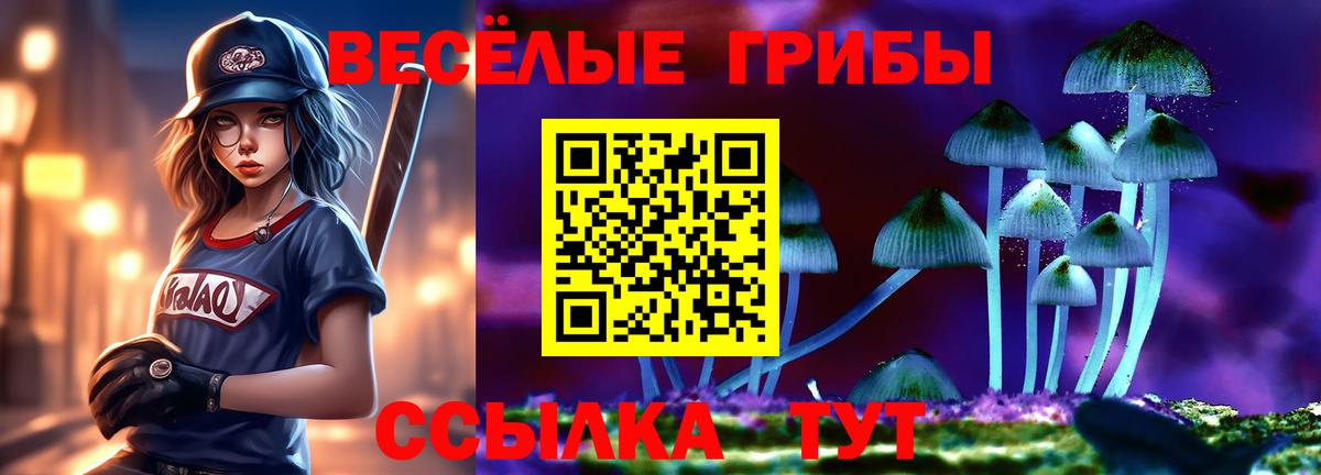 Галлюциногенные грибы Magic Shrooms  Вход с VPN  Псилоцибиновые грибы ЛСД  Донской 